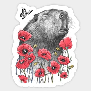 Сapybara in poppies Sticker